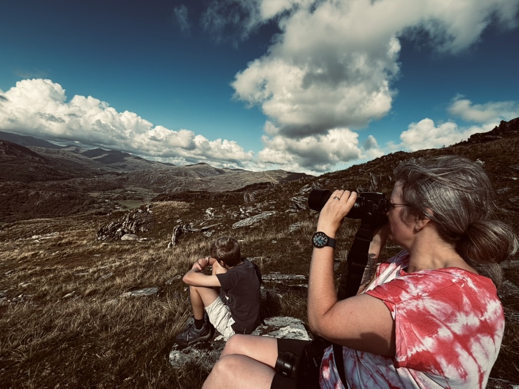 Caw Fell, Lake District