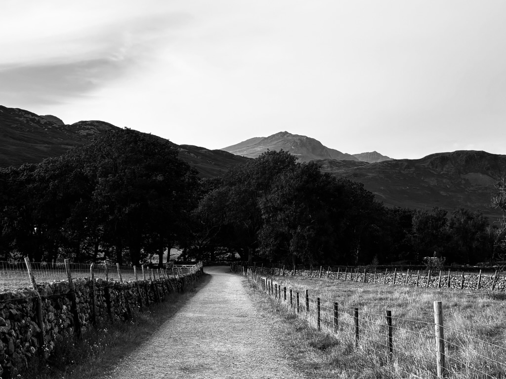 Lake District black and white mountain and lane photo