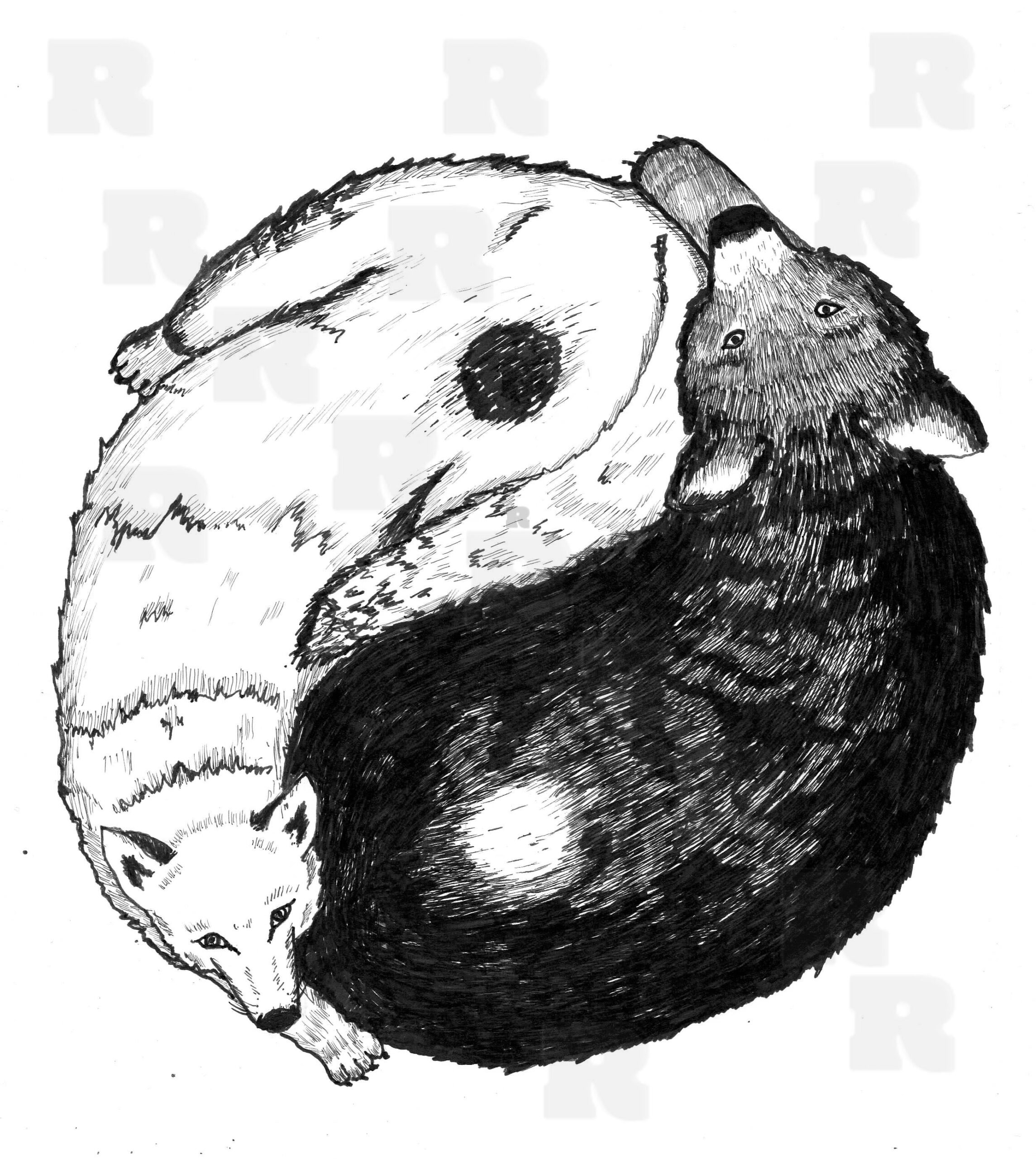 Yin Yang Bear and Wolf
